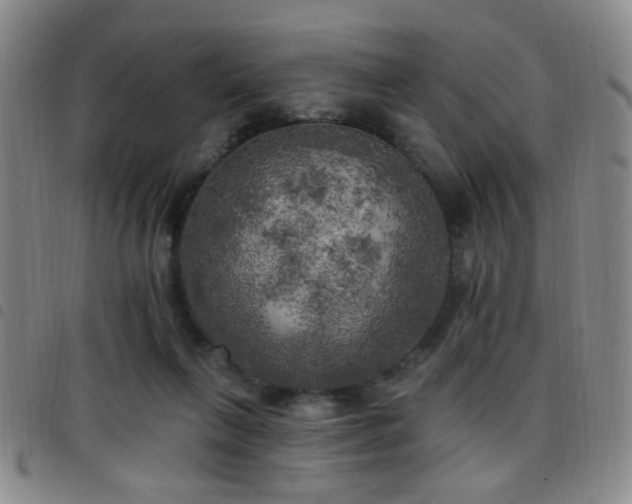 X0000097810263200803141125