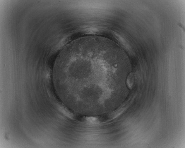 X0000097810265200803141125