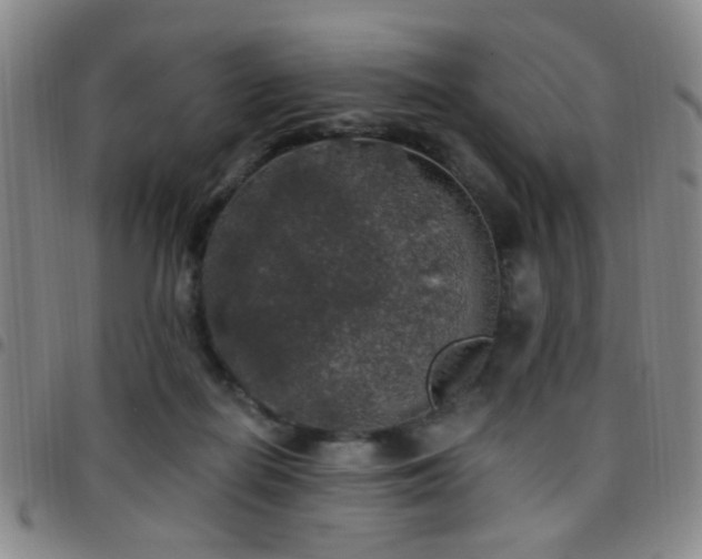 X0000097810266200803141125