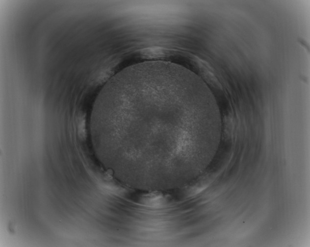 X0000097810267200803141125