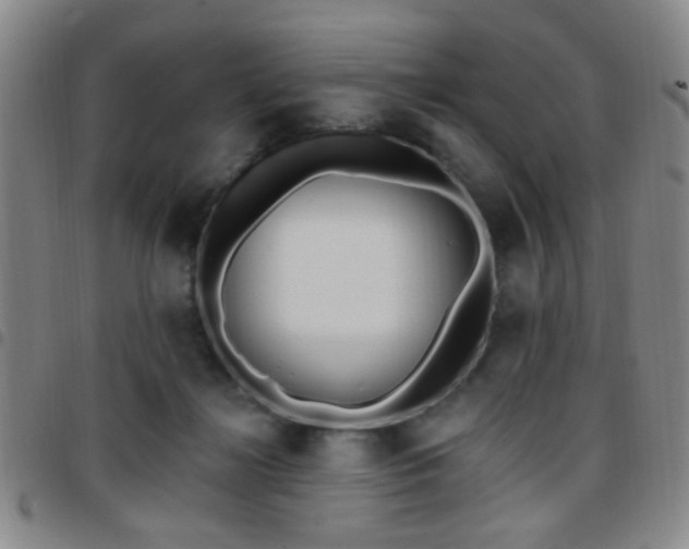 X0000097810268200803141125
