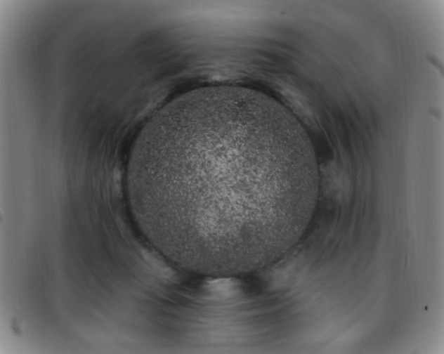 X0000097810269200803141125