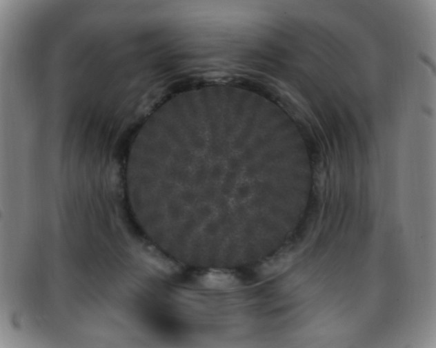 X0000097810270200803141125