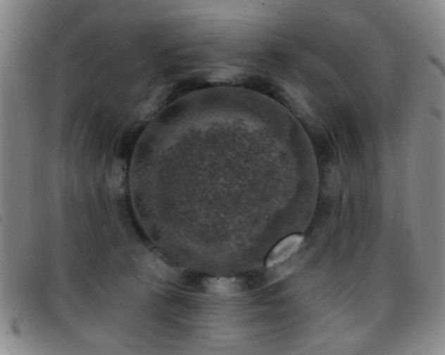 X0000097810273200803141125