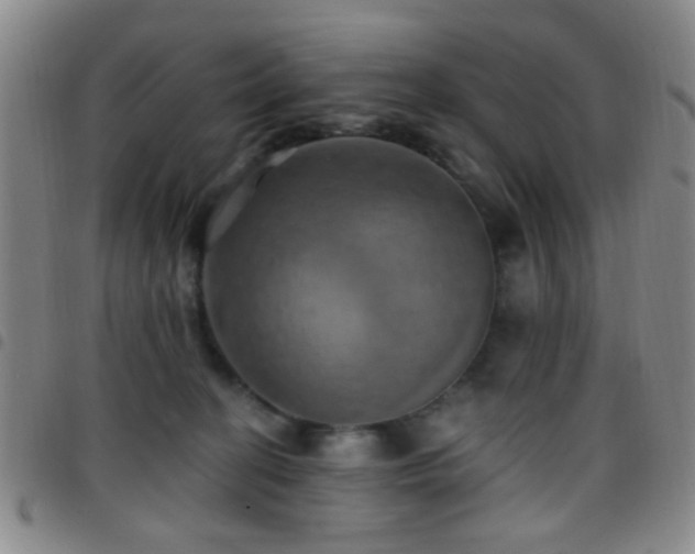 X0000097810274200803141125
