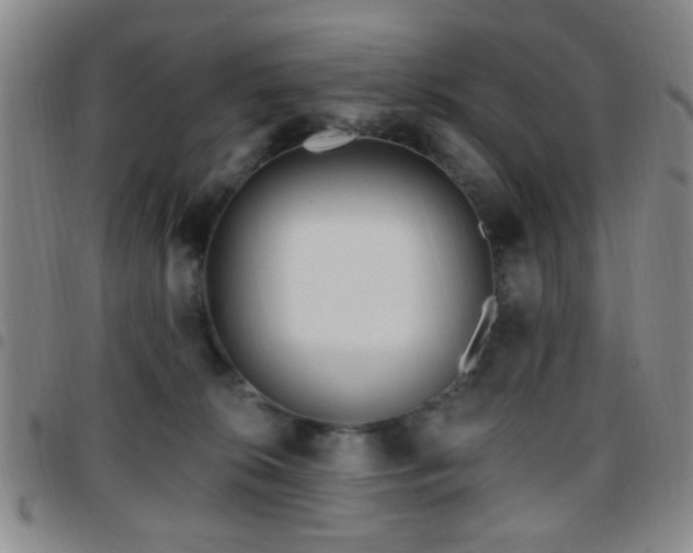 X0000097810276200803141125