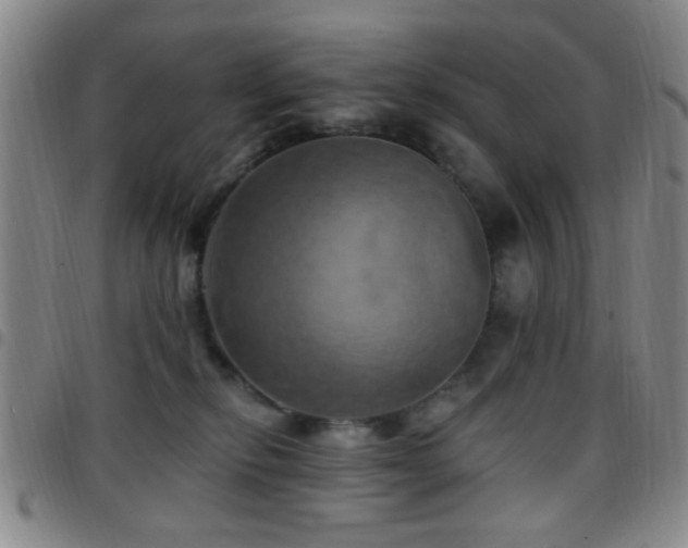 X0000097810278200803141125
