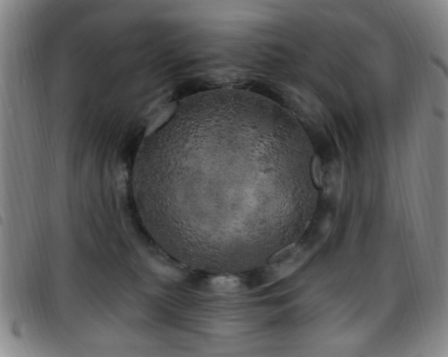 X0000097810279200803141125