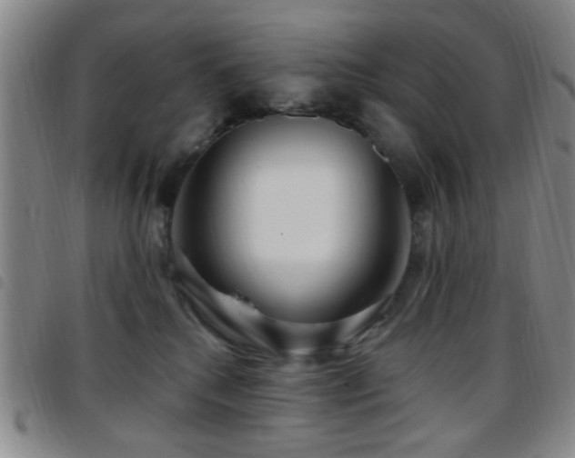 X0000097810280200803141125