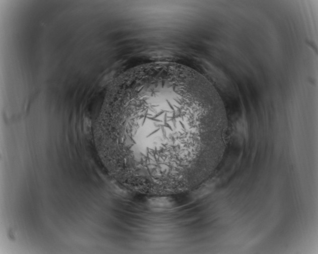 X0000097810281200803141125