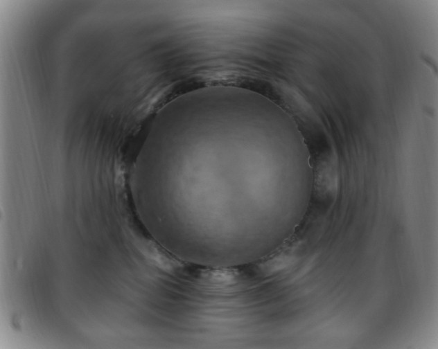 X0000097810282200803141125