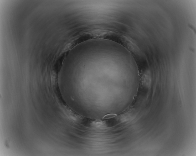X0000097810283200803141125