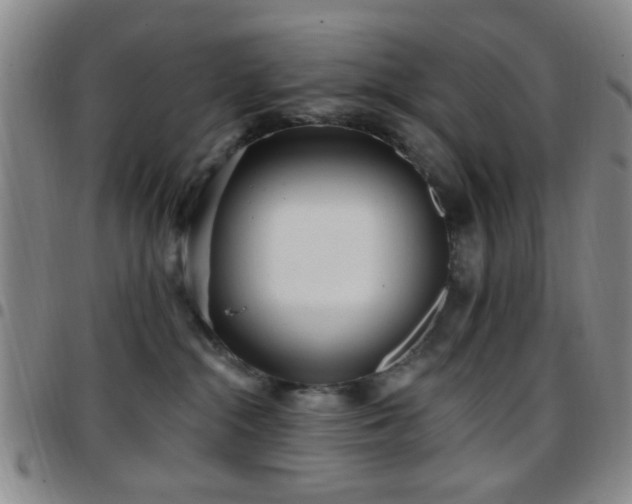 X0000097810284200803141125