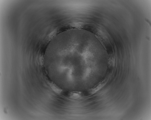 X0000097810285200803141125