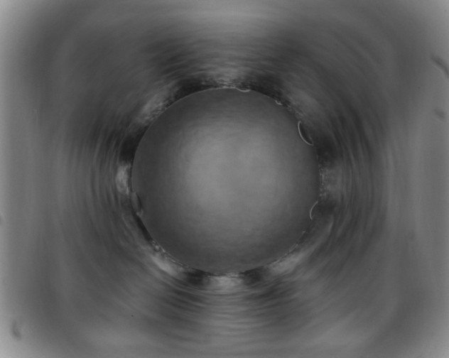 X0000097810286200803141125