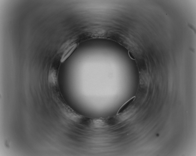 X0000097810287200803141125