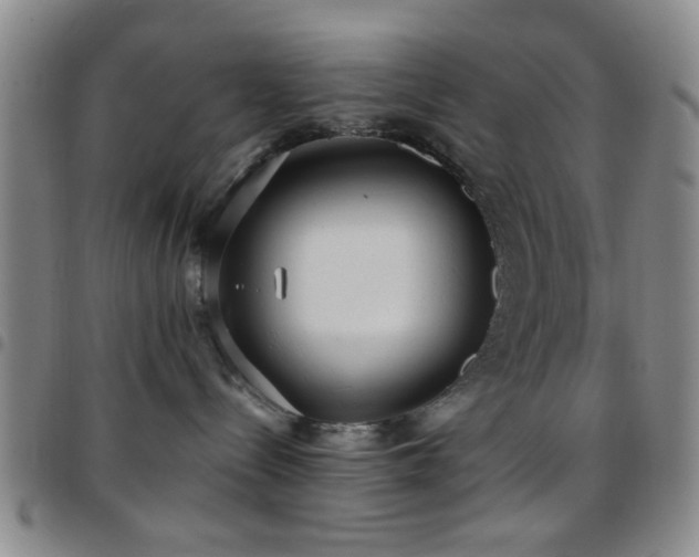 X0000097810288200803141125