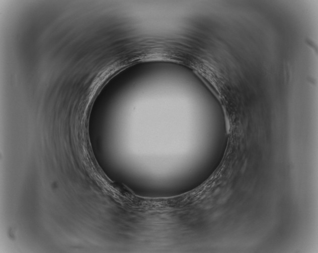 X0000097810289200803141125