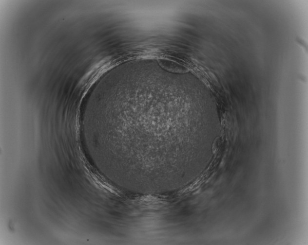 X0000097810290200803141125