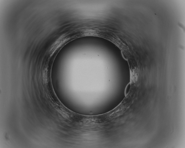 X0000097810291200803141125