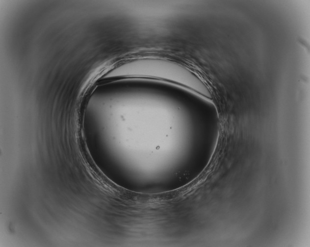 X0000097810293200803141125