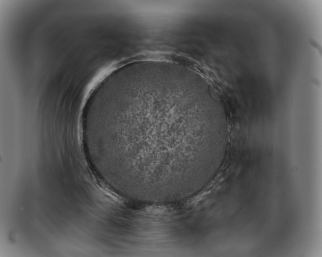 X0000097810294200803141125