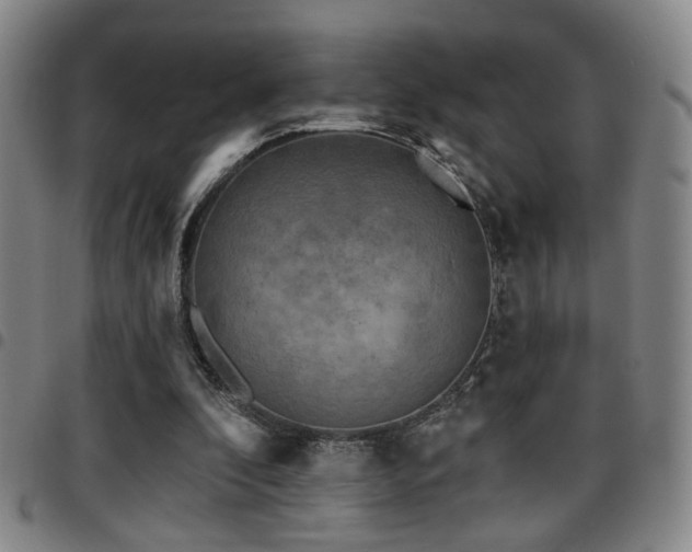 X0000097810296200803141125