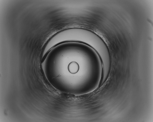 X0000097810297200803141125