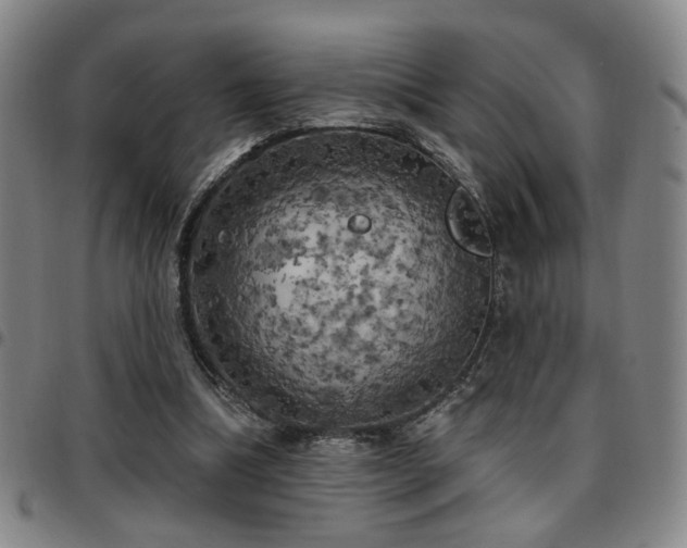 X0000097810298200803141125
