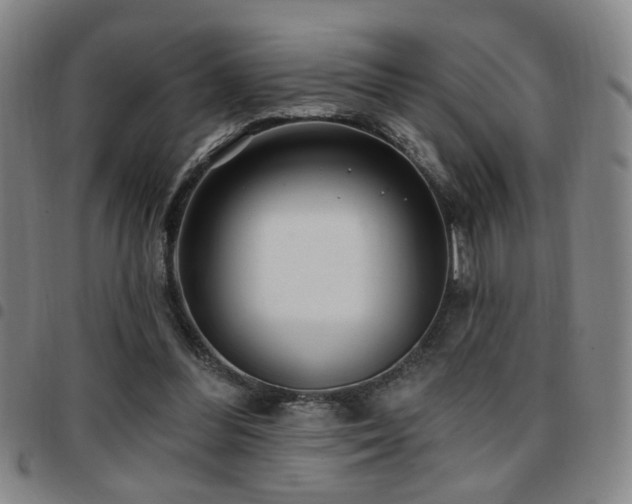 X0000097810300200803141125