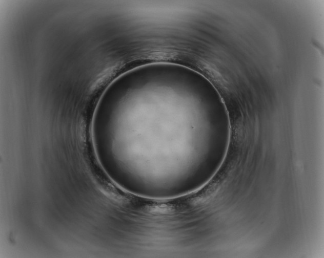 X0000097810303200803141124