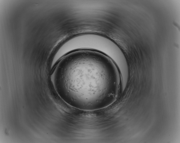 X0000097810304200803141124