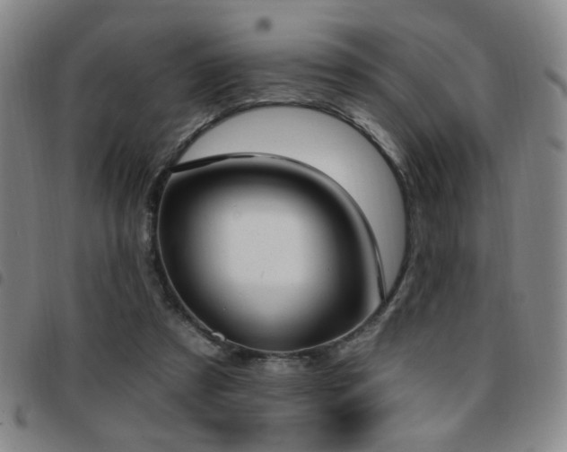 X0000097810305200803141124