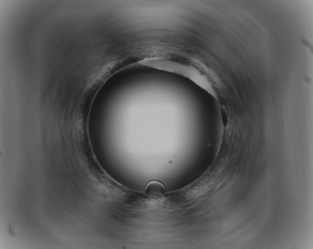 X0000097810306200803141124