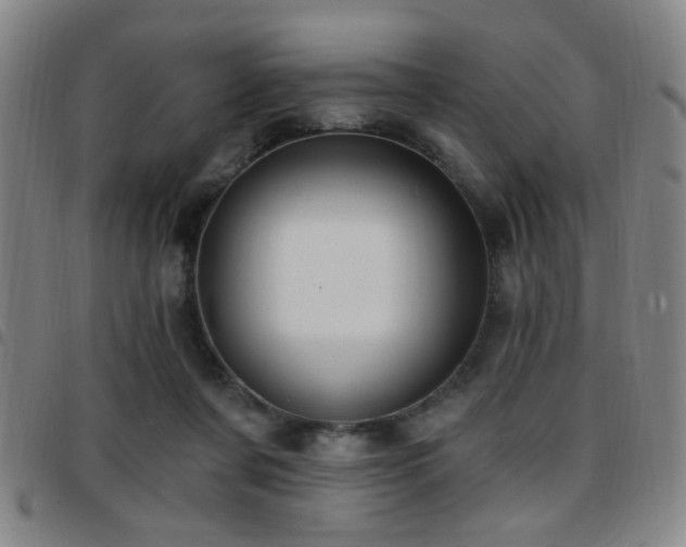 X0000097810311200803141124