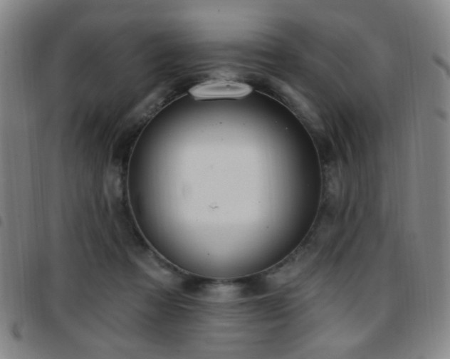 X0000097810313200803141124