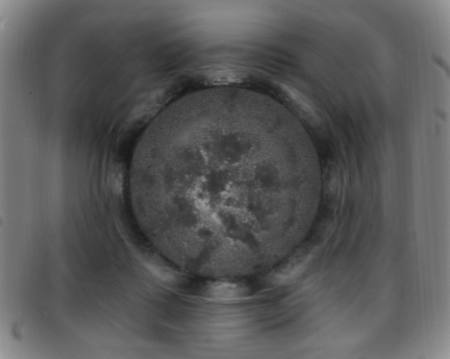 X0000097810315200803141124