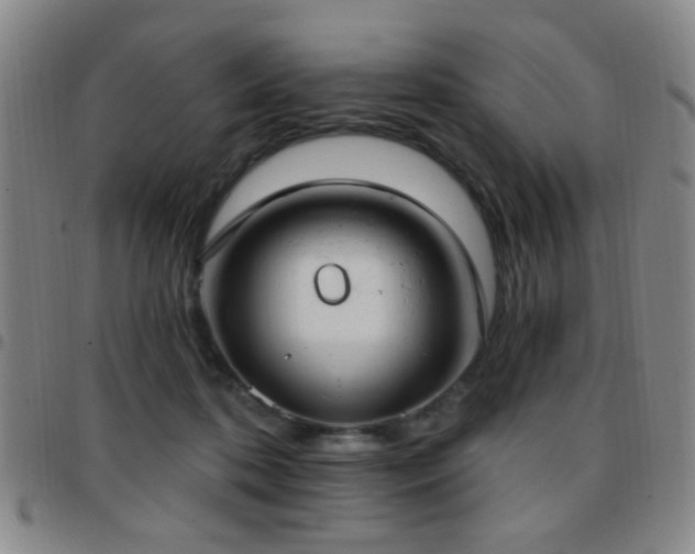 X0000097810316200803141124