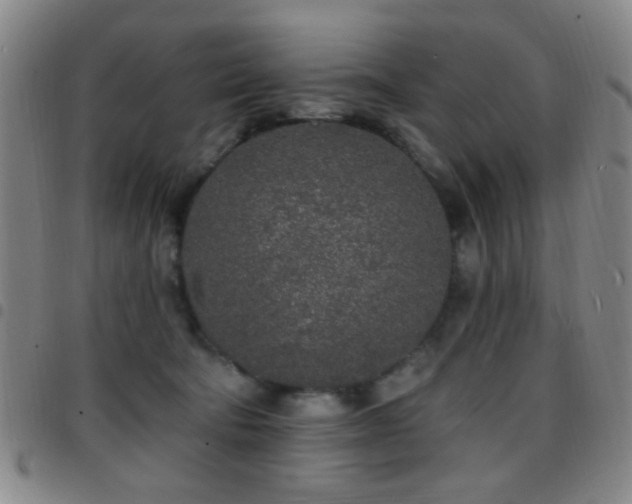 X0000097810322200803141124