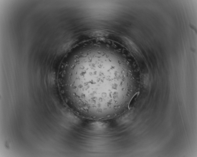 X0000097810326200803141124