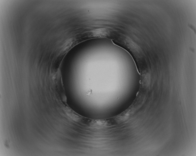 X0000097810329200803141124