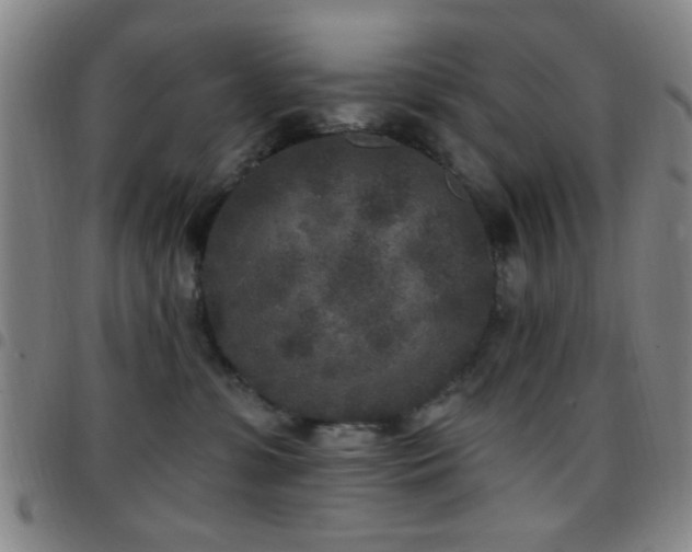 X0000097810331200803141124