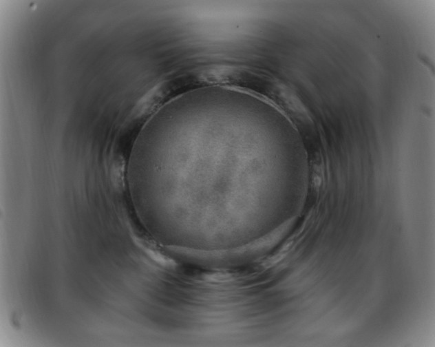 X0000097810332200803141124