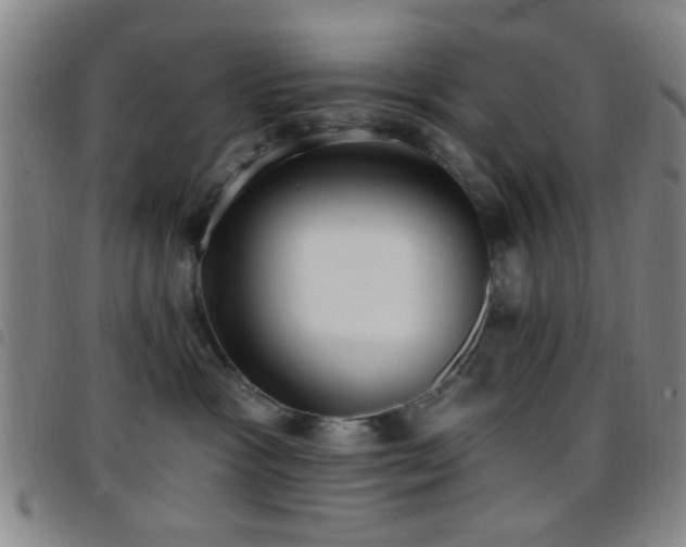 X0000097810333200803141124