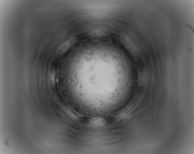 X0000097810334200803141124