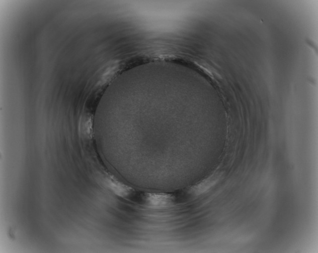 X0000097810336200803141124