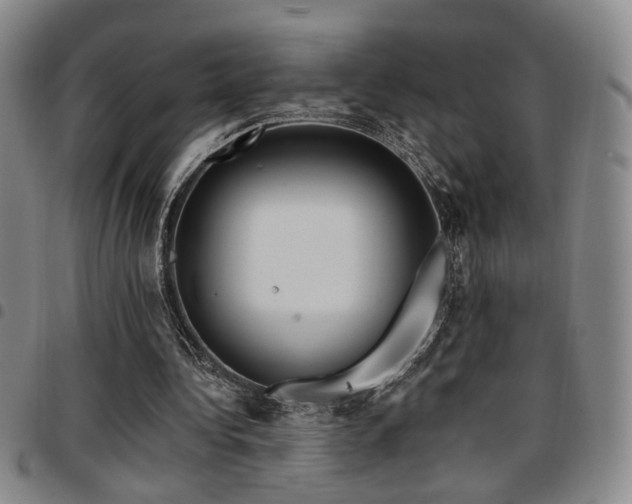 X0000097810340200803141123