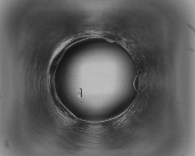 X0000097810342200803141123