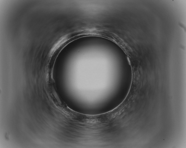 X0000097810344200803141123