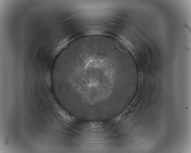 X0000097810345200803141124